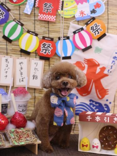 20240707フーちゃん